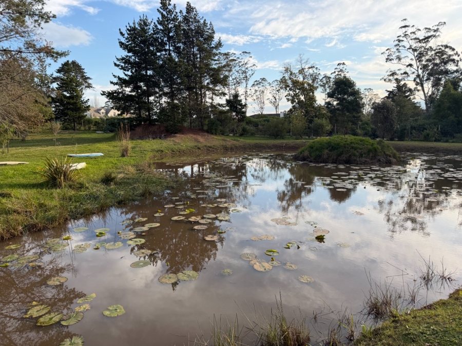Commercial Property for Sale in Harkerville A H Western Cape